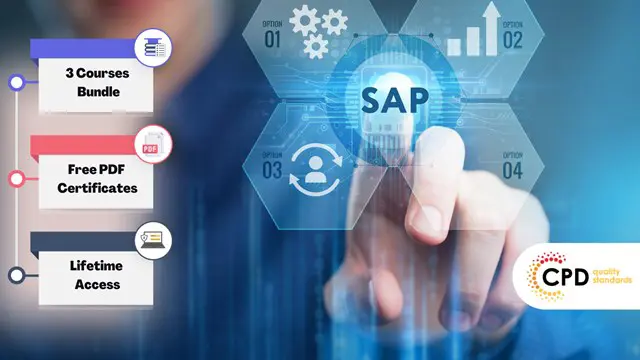 SAP - System Analysis Program Development