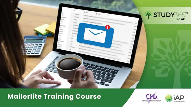 Mailerlite Training Course