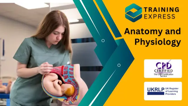 Anatomy and Physiology Level 3 Diploma