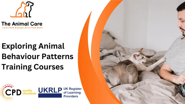 Exploring Animal Behaviour Patterns Training Courses