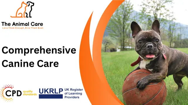 Comprehensive Canine Care