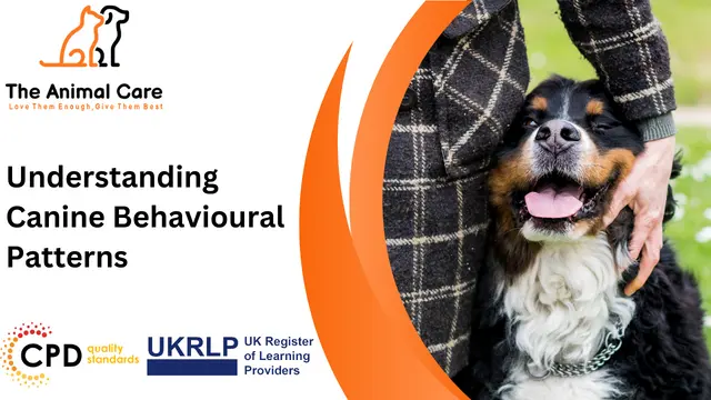 Understanding Canine Behavioural Patterns