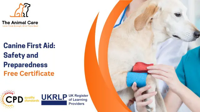 Canine First Aid: Safety and Preparedness
