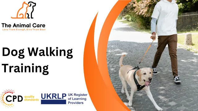 Dog Walking Training 