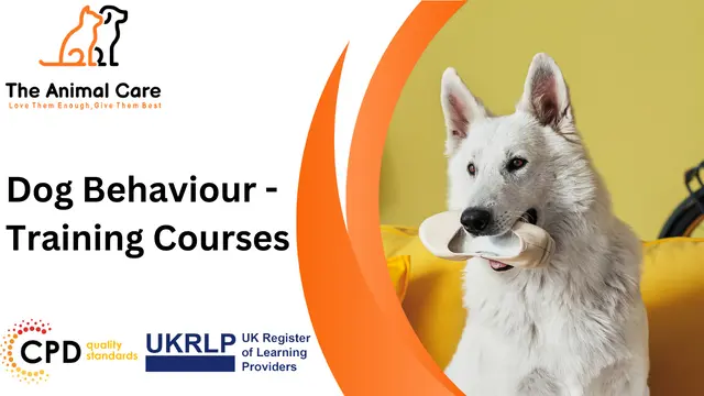 Dog Behaviour - Training Courses