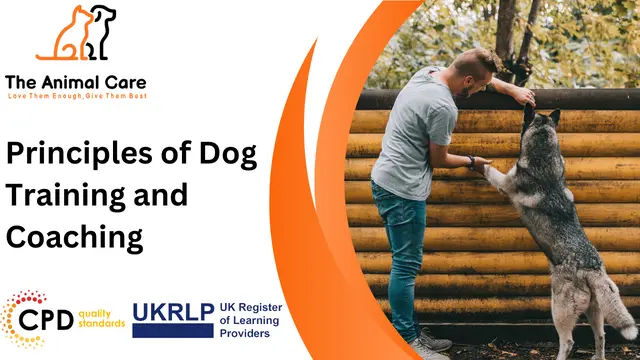 Principles of Dog Training and Coaching