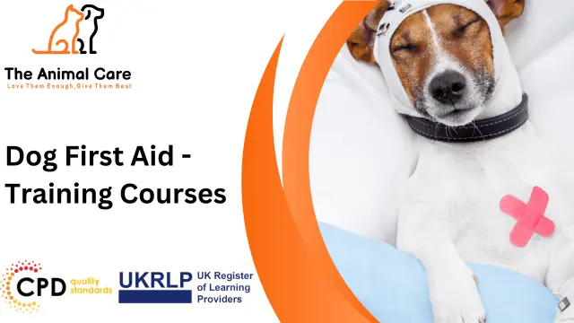 Dog First Aid - Training Courses