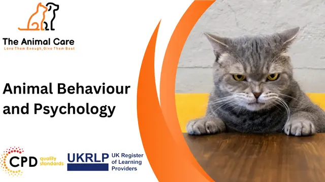 Animal Behaviour and Psychology