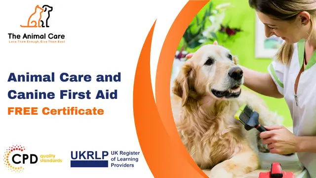 Animal Care and Canine First Aid Diploma Training