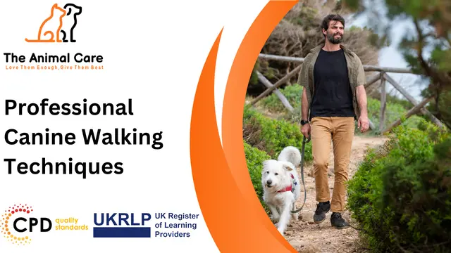 Professional Canine Walking Techniques