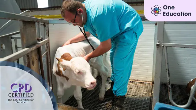 Veterinary Medicine and Infection Control