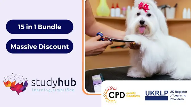 Dog Grooming, Dog Walking, Dog Care, Dog Cleaning & Pet First Aid Diploma - CPD Certified