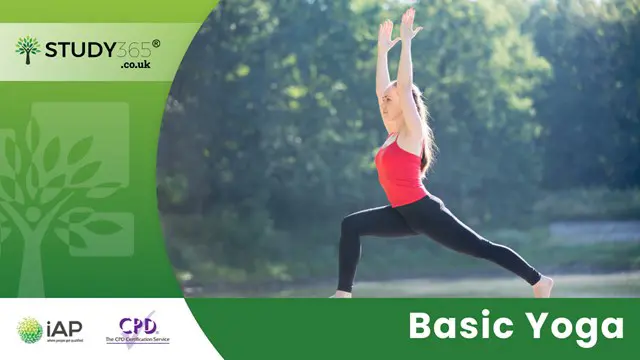 Basic Yoga Training  Course