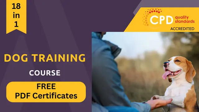 Dog Training & Agility Diploma - CPD Certified