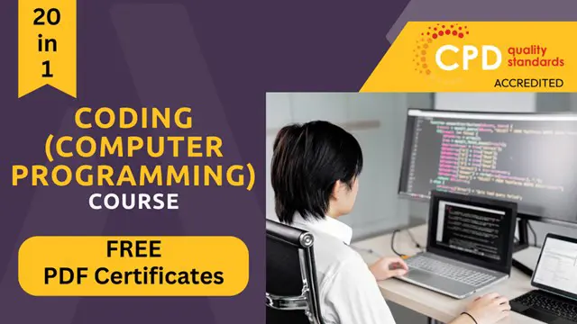 Level 3 Coding (Computer Programming) using Python, Javascript, SQL Training
