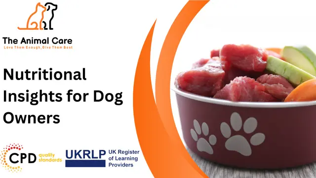Nutritional Insights for Dog Owners
