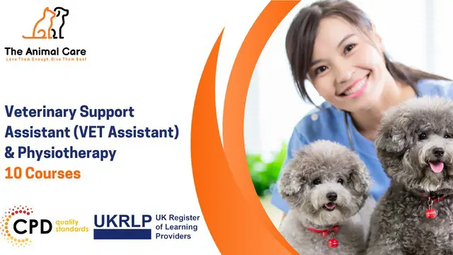 Veterinary Support Assistant (VET Assistant) &  Physiotherapy