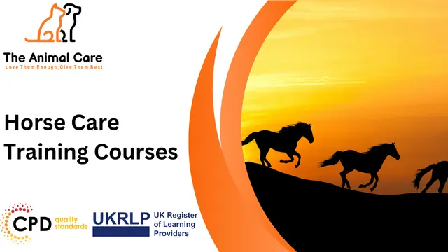 Horse Care Training Courses