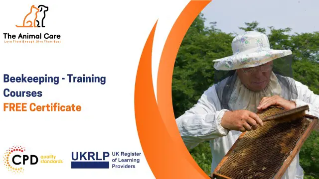 Beekeeping - Training Courses 