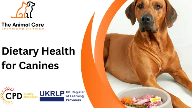 Dietary Health for Canines