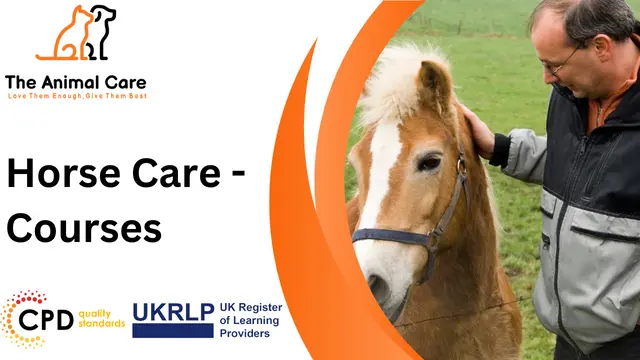 Horse Care - Courses