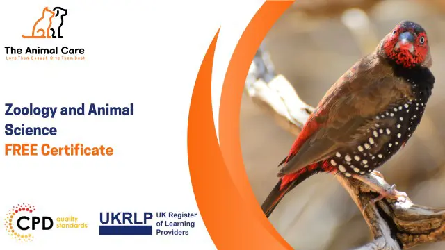 Zoology and Animal Science- CPD Certified