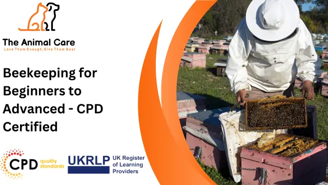 Beekeeping for Beginners to Advanced - CPD Certified