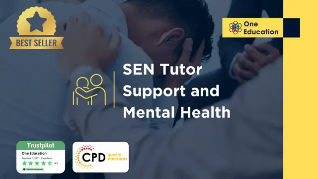 SEN Tutor Support and Mental Health