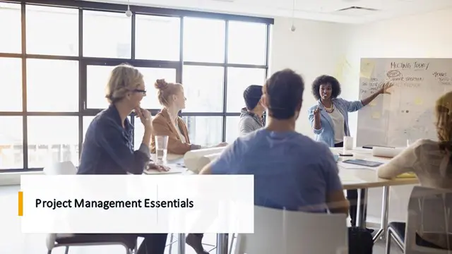 Project Management Essentials - In House