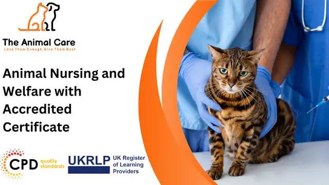 Animal Nursing and Welfare with Accredited Certificate