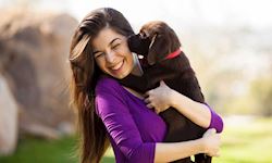 Animal Care