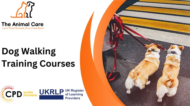Dog Walking Training Courses