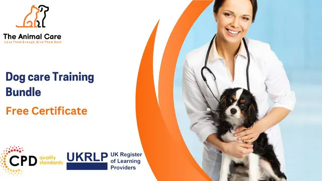 Dog Care Training Bundle