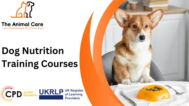 Dog Nutrition Training Courses
