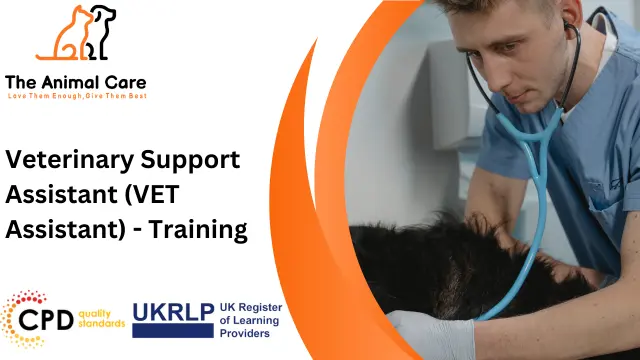 Veterinary Support Assistant (VET Assistant) Training