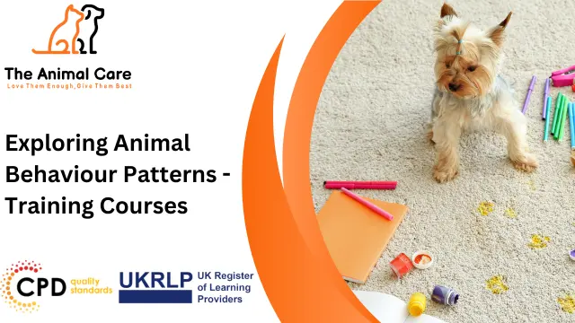 Exploring Animal Behaviour Patterns - Training Courses