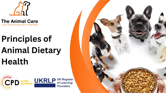 Principles of Animal Dietary Health