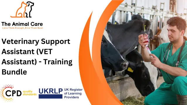 Veterinary Support Assistant (VET Assistant) - Training Bundle 