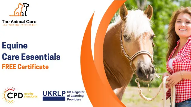 Equine Care Essentials