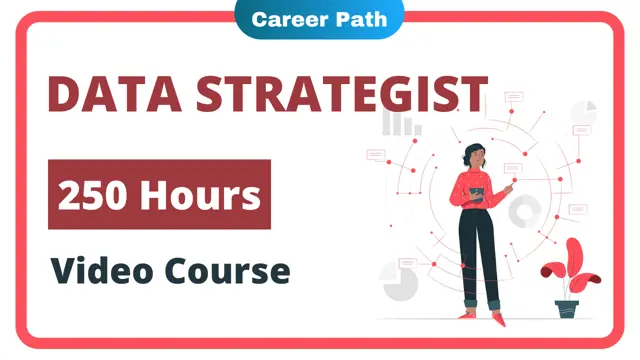Data Strategist Career Path