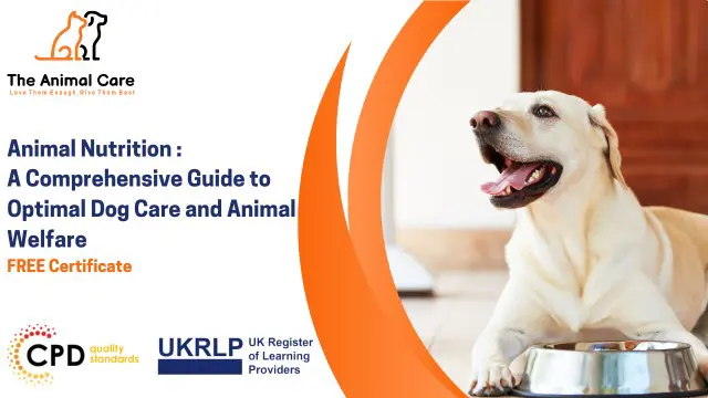 Animal Nutrition: Optimal Dog Care and Animal Welfare Bundle Course