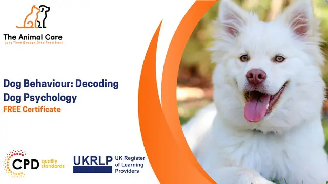 Dog Behaviour: Decoding Dog Psychology