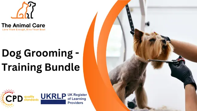 Dog Grooming - Training Bundle