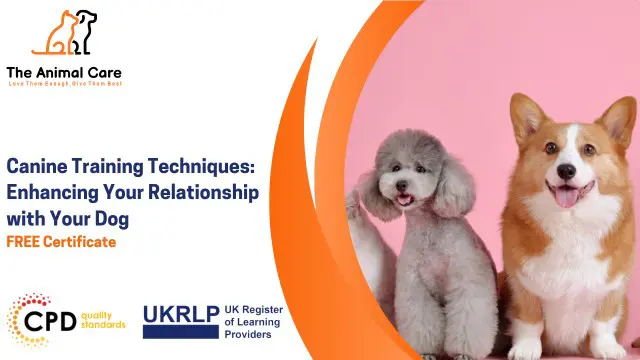 Canine Training Techniques: Enhancing Your Relationship with Your Dog