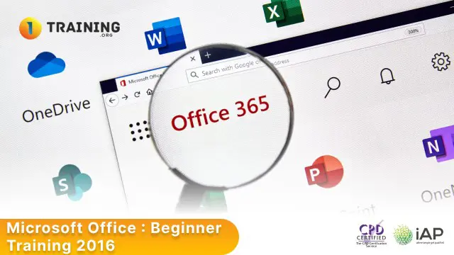 Microsoft Office : Beginner Training 2016 