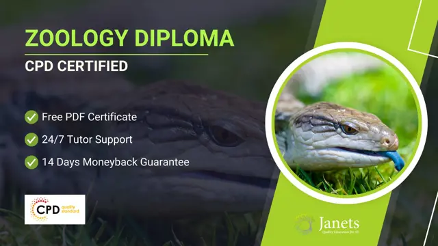 Zoology Diploma - CPD Certified             