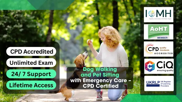 Dog Walking and Pet Sitting with Emergency Care – CPD Certified