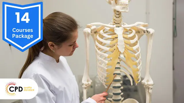 Anatomy and Physiology Courses 