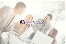 prince 2