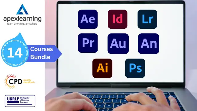 Photoshop Training: Adobe Lightroom, Illustrator, After Effects CC, Premiere Pro